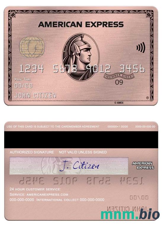 USA University of Southern Indiana bank Amex rose złoto metal karta przykład w formacie PSD